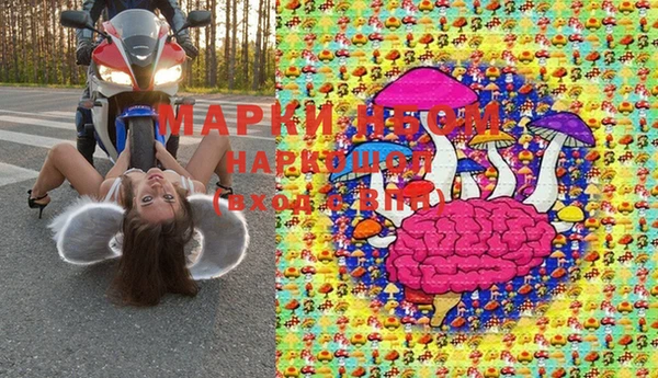 ПСИЛОЦИБИНОВЫЕ ГРИБЫ Алексин